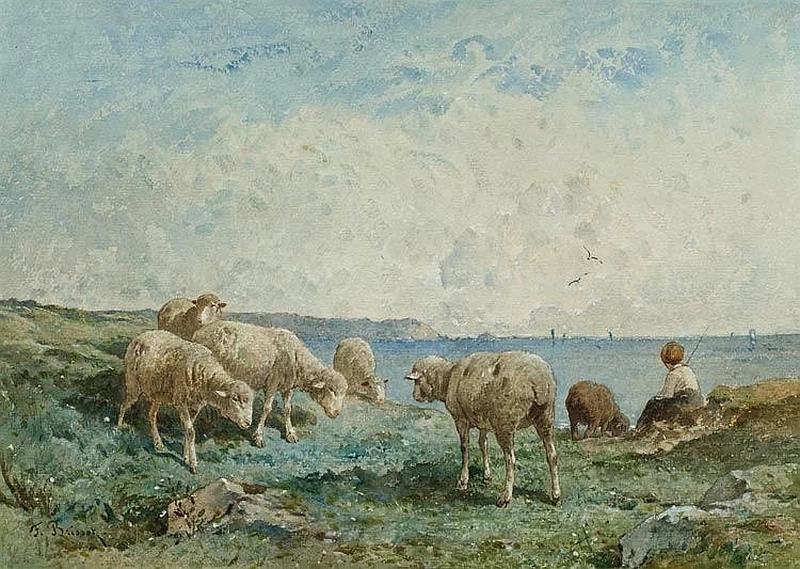 Gregge di pecore con pastorella sulla costa